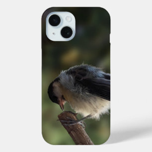 Coque Pour iPhone 15 Tidi my Bird le Parus Major