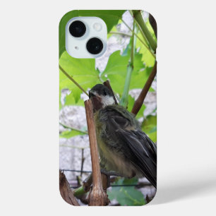 Coque Pour iPhone 15 Tidi my Bird le Parus Major