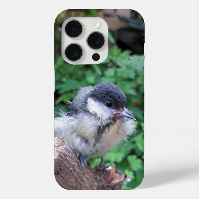 Coques Case-Mate iPhone Tidi my Bird le Parus Major (Verso)