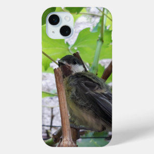 Coque iPhone 15 Mini Tidi my Bird le Parus Major