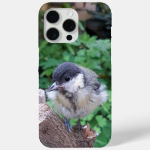 Coque iPhone 15 Pro Max Tidi my Bird le Parus Major