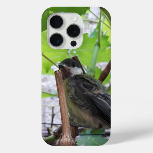 Coque iPhone 15 Pro Tidi my Bird le Parus Major