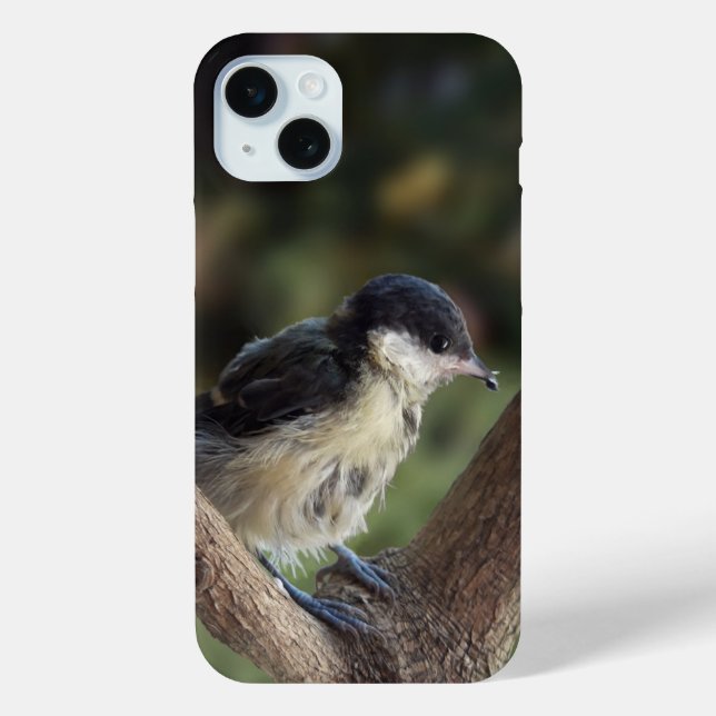 Coques Case-Mate iPhone Tidi my Bird le Parus Major (Verso)