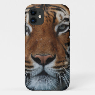 Etui iPhone Case-Mate Tiger Chat Stripes Jungle Mist Animal