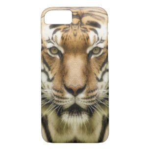 Case-Mate iPhone Case Tiger Gros plan