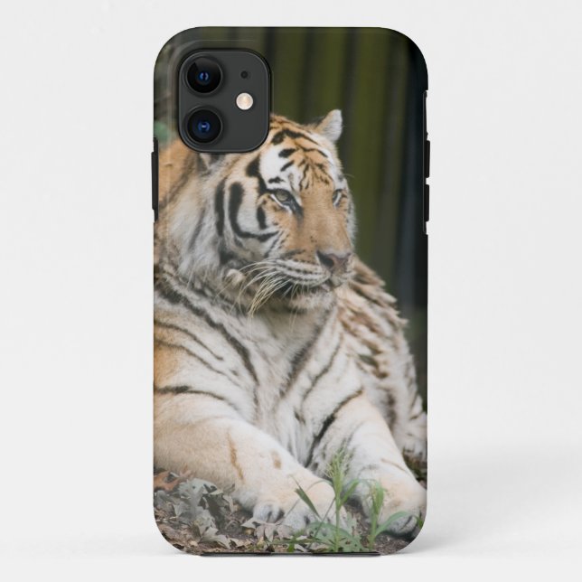 Coques Case-Mate iPhone Tigre (Dos)