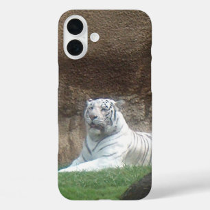 Coques iPhone 16 Plus Tigre Blanc