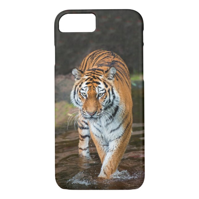 Coques Case-Mate iPhone Tigre dans la rivière (Dos)