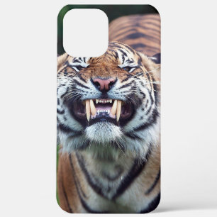 Case-Mate iPhone Case "Tigre Tooth"
