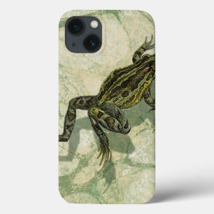 Case-Mate iPhone Case Toad Swinning in the Water