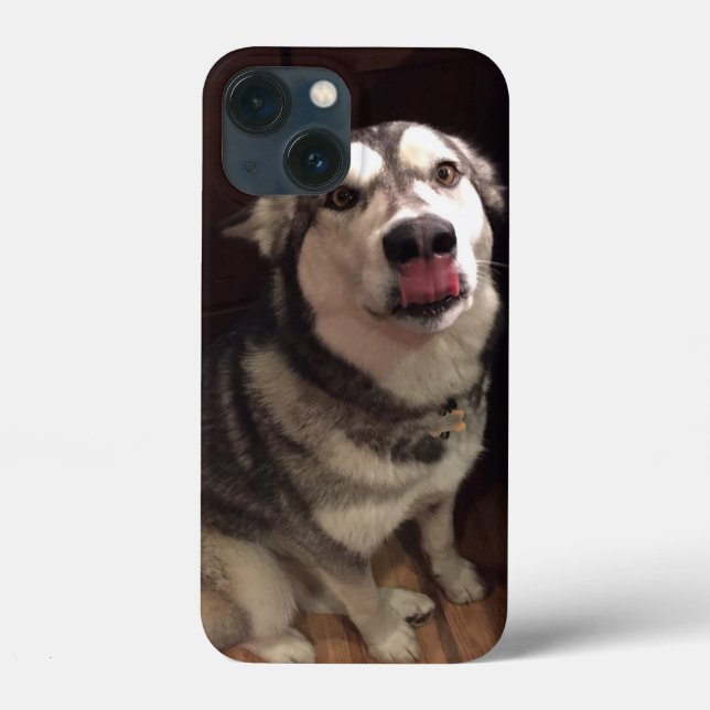 Coques Case-Mate iPhone Tongue apprentissage Malamute de l'Alaska (Verso)