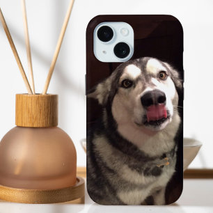 Coque Pour iPhone 15 Tongue apprentissage Malamute de l'Alaska