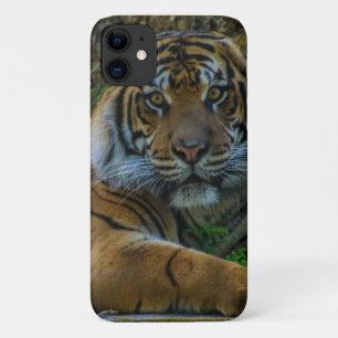 Case-Mate iPhone Case tony