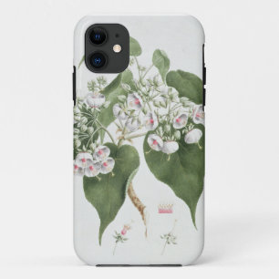 Coques Pour iPhone Torrida de Walkuffa No.5 Dombeya (la semaine