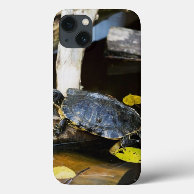 Coques Case-Mate iPhone Tortue de l'étang dans la nature (Verso)