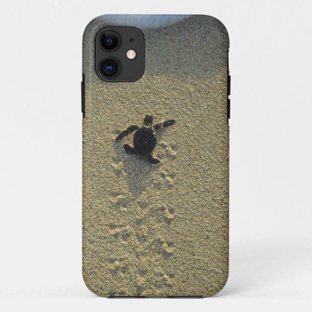 Coques Case-Mate iPhone Tortue verte, (Chelonia mydas), éclos (Dos)