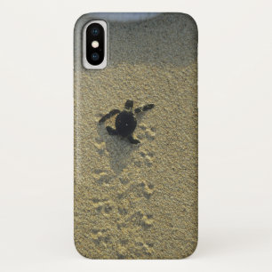 Etui iPhone Case-Mate Tortue verte, (Chelonia mydas), éclos