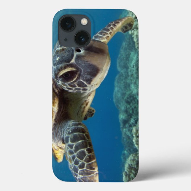 Coques Case-Mate iPhone Tortue verte hawaïenne (Verso)