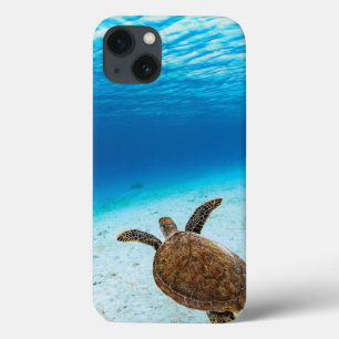 Case-Mate iPhone Case Tortue verte, Tortue verte, Tortue marine
