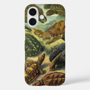 Coques iPhone 16 Tortues vintages et tortues de mer par Ernst Haeck