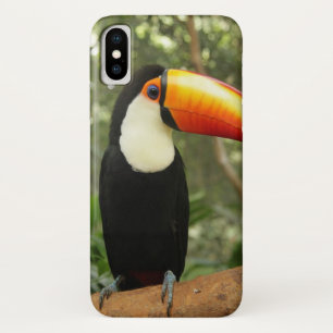 Case-Mate iPhone Case Toucan sur branche d'arbre