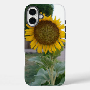 Coques iPhone 16 Plus Tournesol