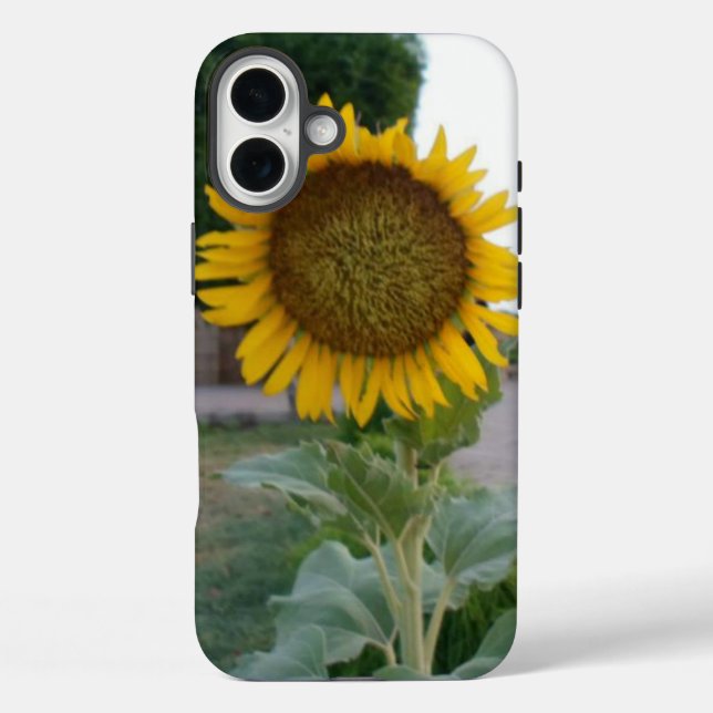 Coques Case-Mate iPhone Tournesol (Verso)