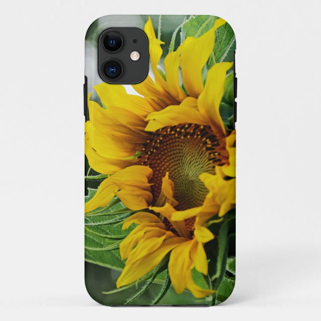 Coques Case-Mate iPhone Tournesol (Dos)