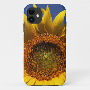 Coque Case-Mate Pour iPhone Tournesol