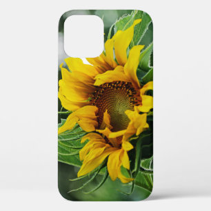 Etui iPhone Case-Mate Tournesol