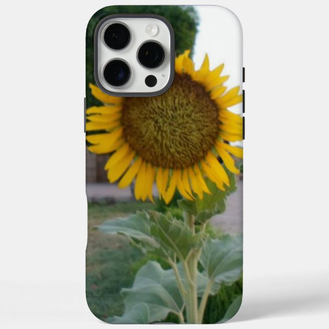 Coques Case-Mate iPhone Tournesol (Verso)