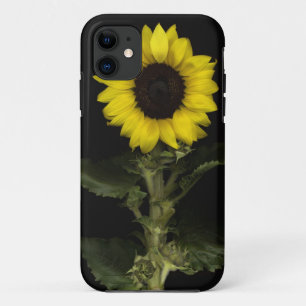Case-Mate iPhone Case Tournesol 11