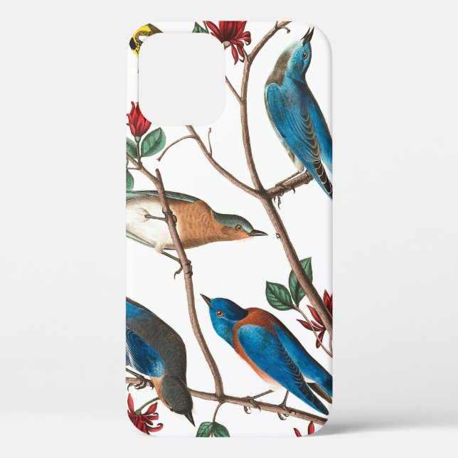 Coques Case-Mate iPhone Townsend Warbler par John James Audubon (Verso)