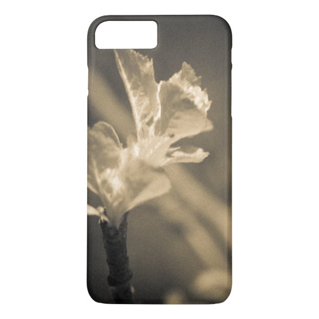 Coques Case-Mate iPhone Trace du printemps (Dos)