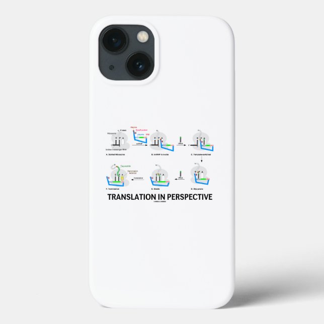 Coques Case-Mate iPhone Traduction en perspective tRNA Biologie Protéine (Verso)