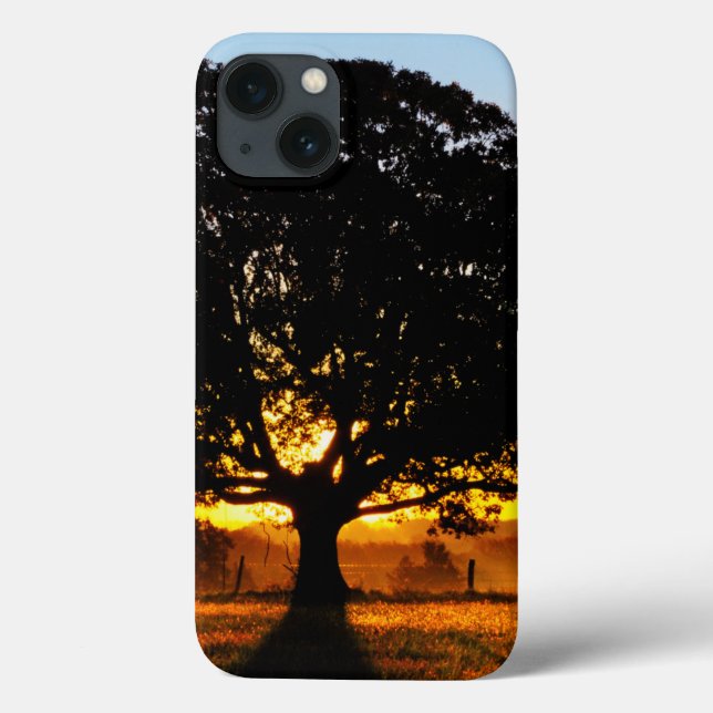Coques Case-Mate iPhone Tree in the Morning (Verso)
