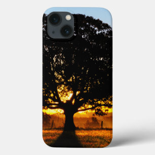 iPhone 13 Coque Tree in the Morning