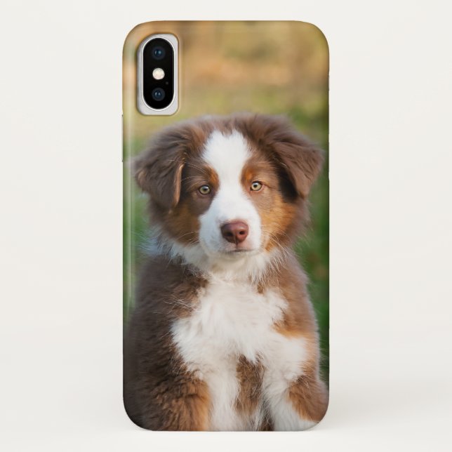 Coques Case-Mate iPhone Tri photo australienne rouge mignonne de chiot de (Dos)
