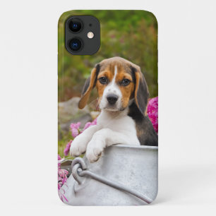 Case-Mate iPhone Case Tricolore mignon Beagle Chien Chien Chiot Pet dans
