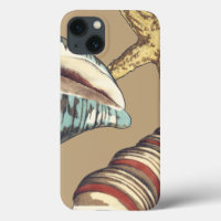 Trio Shell sur Khaki