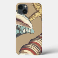 Trio Shell sur Khaki