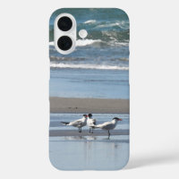 Trois Ternes sur une plage