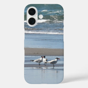 Coque Pour iPhone 16 Trois Ternes sur une plage