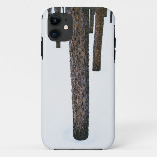 Case-Mate iPhone Case Troncs d'arbre dans la neige