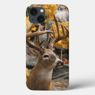 Coques Pour iPhone Trophée Deer