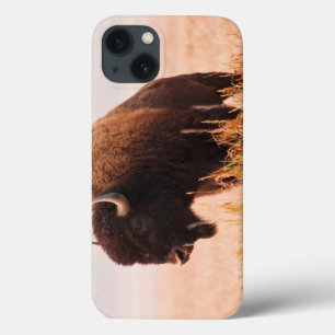 Etui iPhone Case-Mate Troupeau de bisons d'Amérique (Bison Bison) à Teto