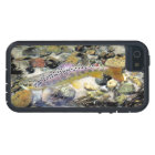 Truite Brown du Michigan