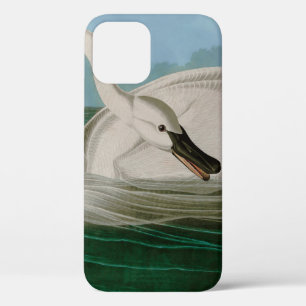 Case-Mate iPhone Case Trumpeter Swan Birds of America Audubon Print