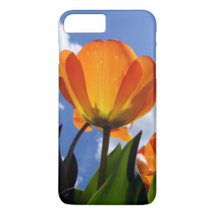 Case-Mate iPhone Case Tulipe orange, Ciel bleu
