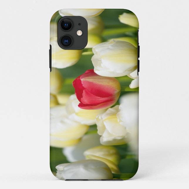 Coques Case-Mate iPhone Tulipe rouge dans un domaine des tulipes blanches (Dos)